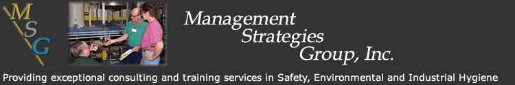 Management Strategies Group Inc. Logo and name